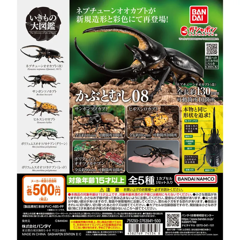 いきもの大図鑑 かぶとむし08の台紙