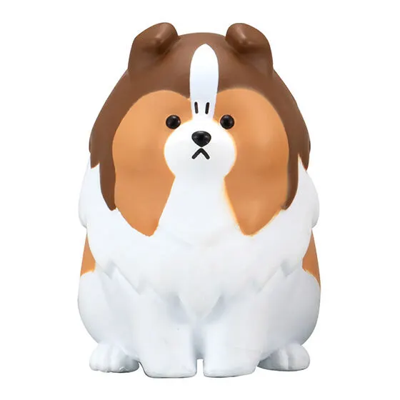 怒ったわんちゃあぁぁん おすわりで怒ってるわんちゃん