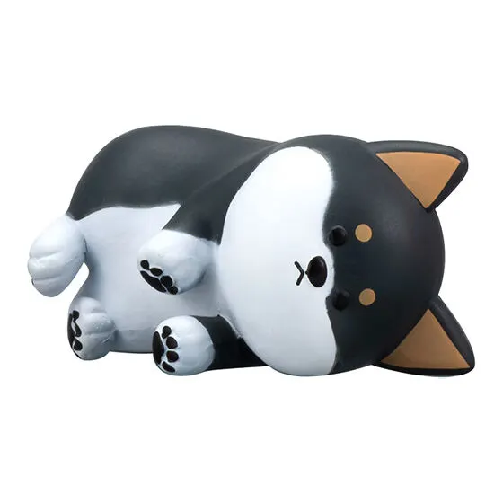 怒ったわんちゃあぁぁん 寝転んで怒ってるわんちゃん