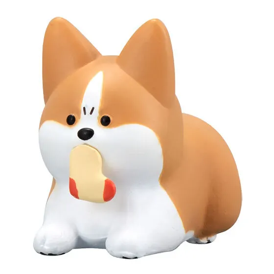 怒ったわんちゃあぁぁん 怒って靴下をとっちゃったわんちゃん