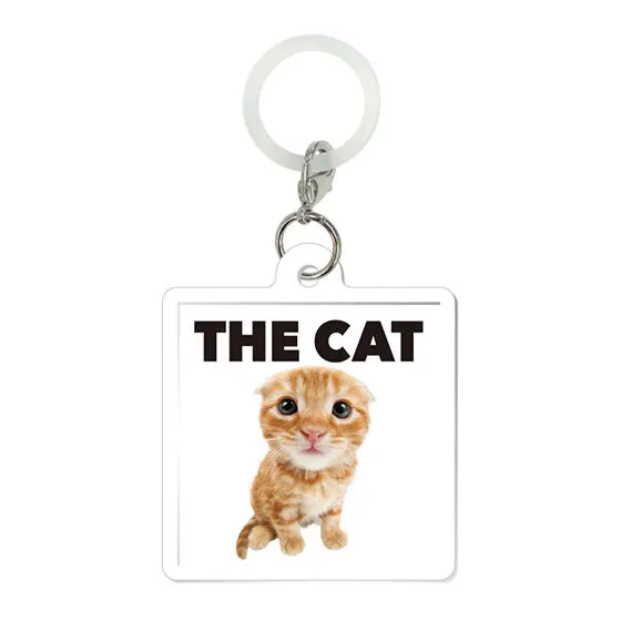 THE CAT AND FRIENDS フラットめじるしアクセサリー スコティッシュ・フォールド
