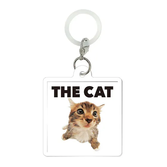 THE CAT AND FRIENDS フラットめじるしアクセサリー メインクーン