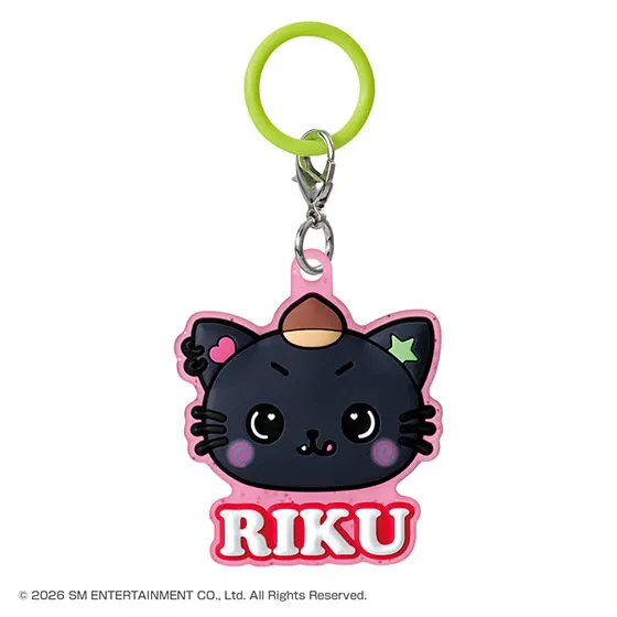 NCT WISH ぷっくりめじるしアクセサリー RIKU (B)