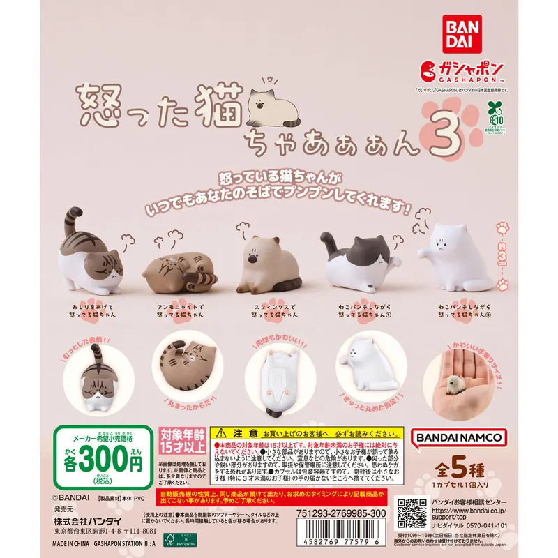 怒った猫ちゃあぁぁん3の台紙