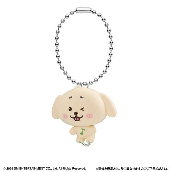 NCT WISH つまんでつなげてますこっと JAEHEE(ボールチェーンver.)