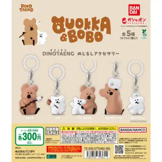 DINOTAENG めじるしアクセサリーの画像
