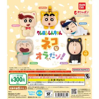 クレヨンしんちゃん ネコなオラたちだゾ！の画像