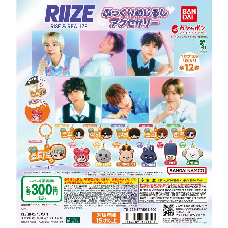 RIIZE ぷっくりめじるしアクセサリーの台紙
