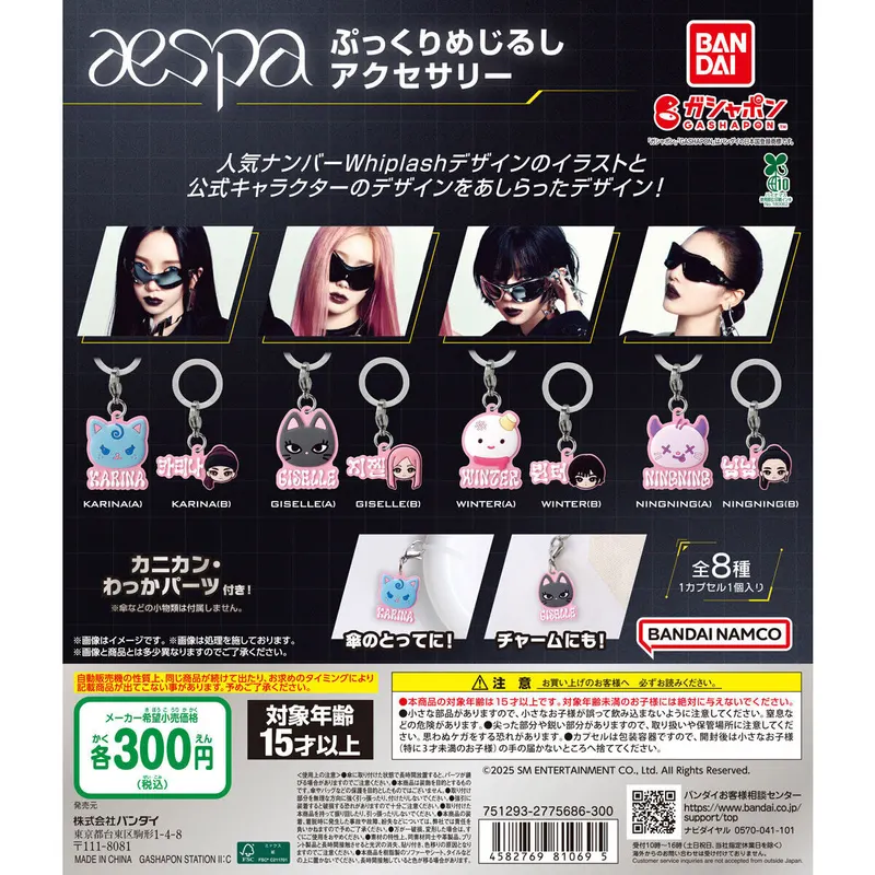 aespa ぷっくりめじるしアクセサリーの台紙