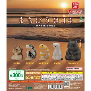 まちぼうけ14の画像