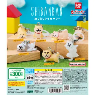 しばんばん めじるしアクセサリーの画像
