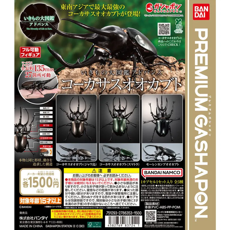 いきもの大図鑑アドバンス コーカサスオオカブトの台紙