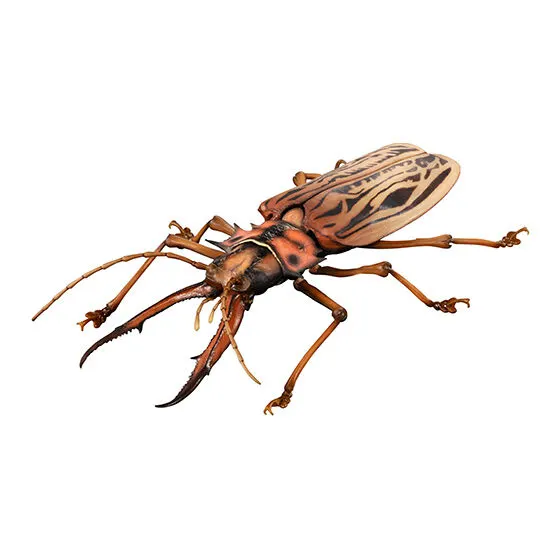 いきもの大図鑑アドバンス オオキバウスバカミキリとハンミョウ オオキバウスバカミキリ(ライト)