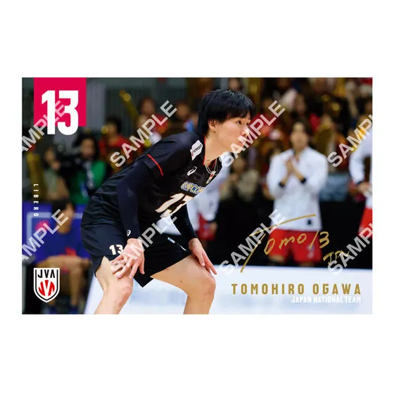 バレーボール男子日本代表 ポストカードコレクション 小川 智大