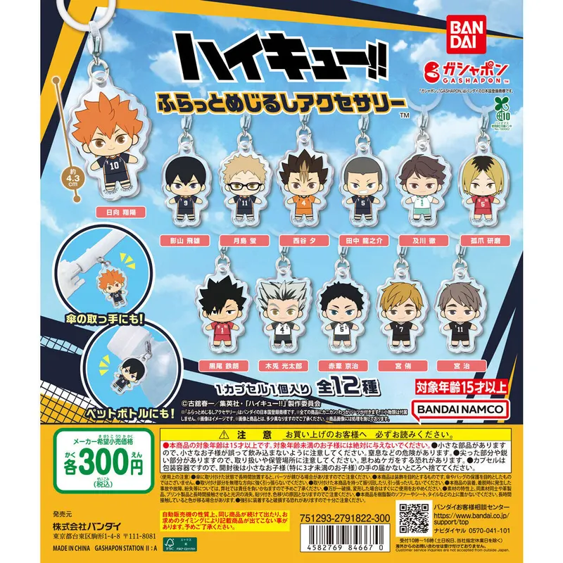 ハイキュー!! ふらっとめじるしアクセサリーの台紙