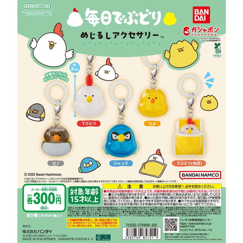 毎日でぶどり めじるしアクセサリーの台紙