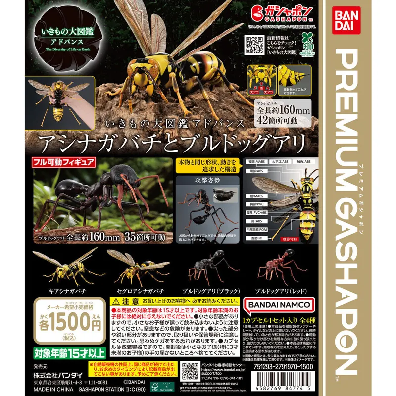 いきもの大図鑑アドバンス アシナガバチとブルドックアリの台紙