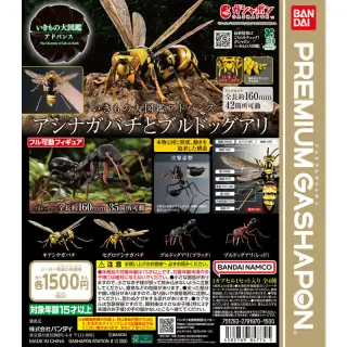 いきもの大図鑑アドバンス アシナガバチとブルドックアリの画像
