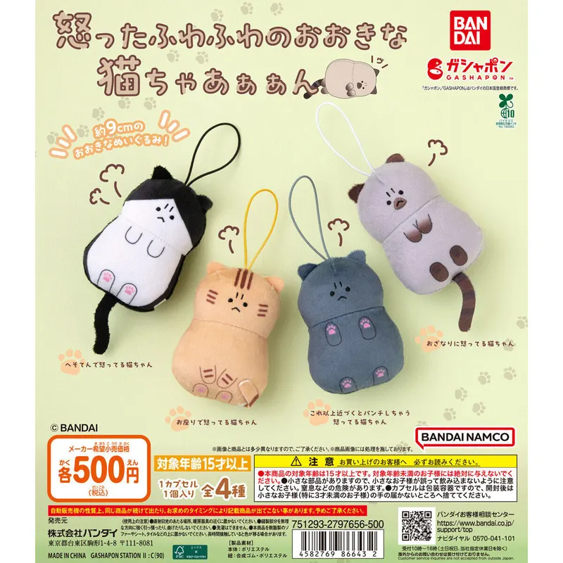 怒ったふわふわのおおきな猫ちゃあぁぁんの台紙
