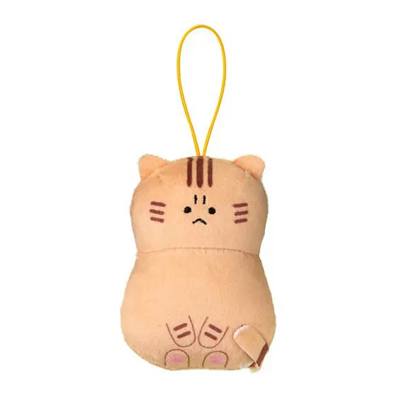 怒ったふわふわのおおきな猫ちゃあぁぁん お座りで怒ってる猫ちゃん