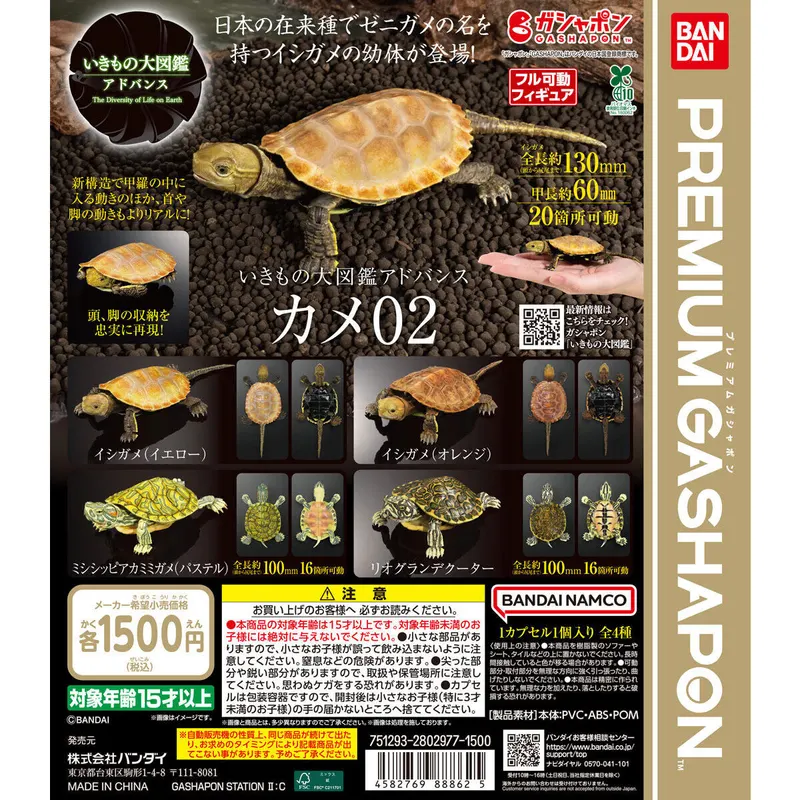 いきもの大図鑑アドバンス カメ02の台紙