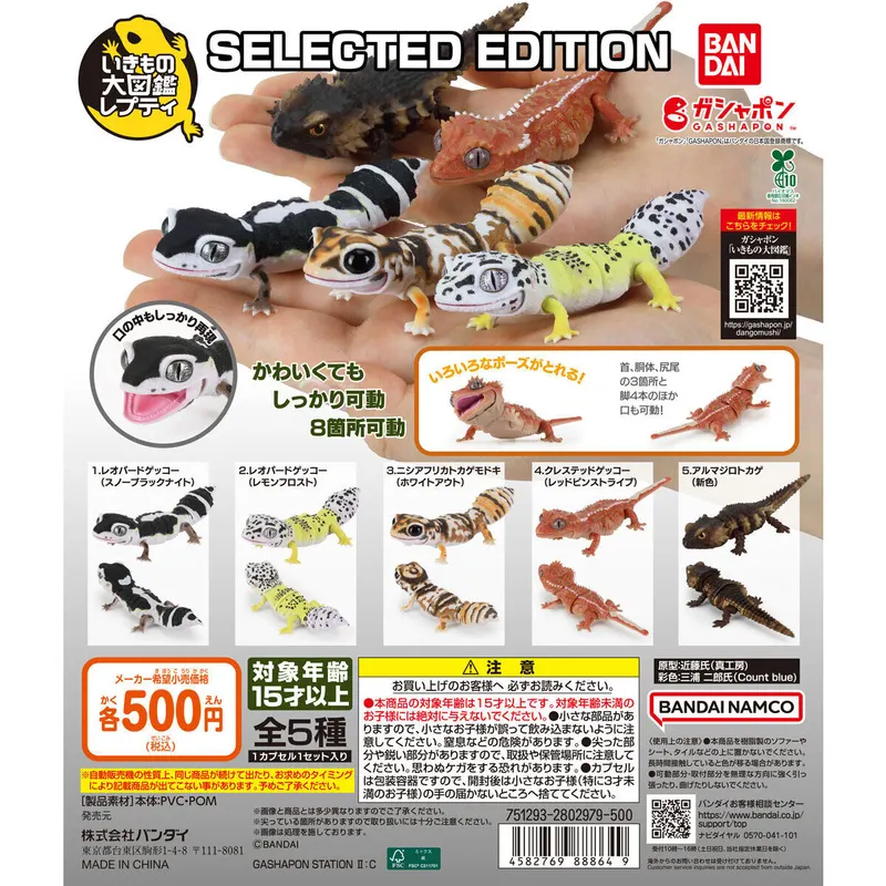 いきもの大図鑑レプティ SELECTED EDITIONの台紙