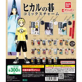 ヒカルの碁 コミックスチャームの画像