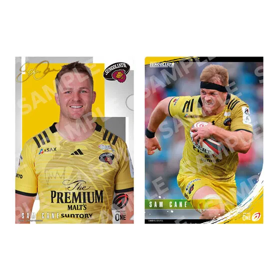 クリアファイルコレクション ジャパンラグビー リーグワン ver. SAM CANE