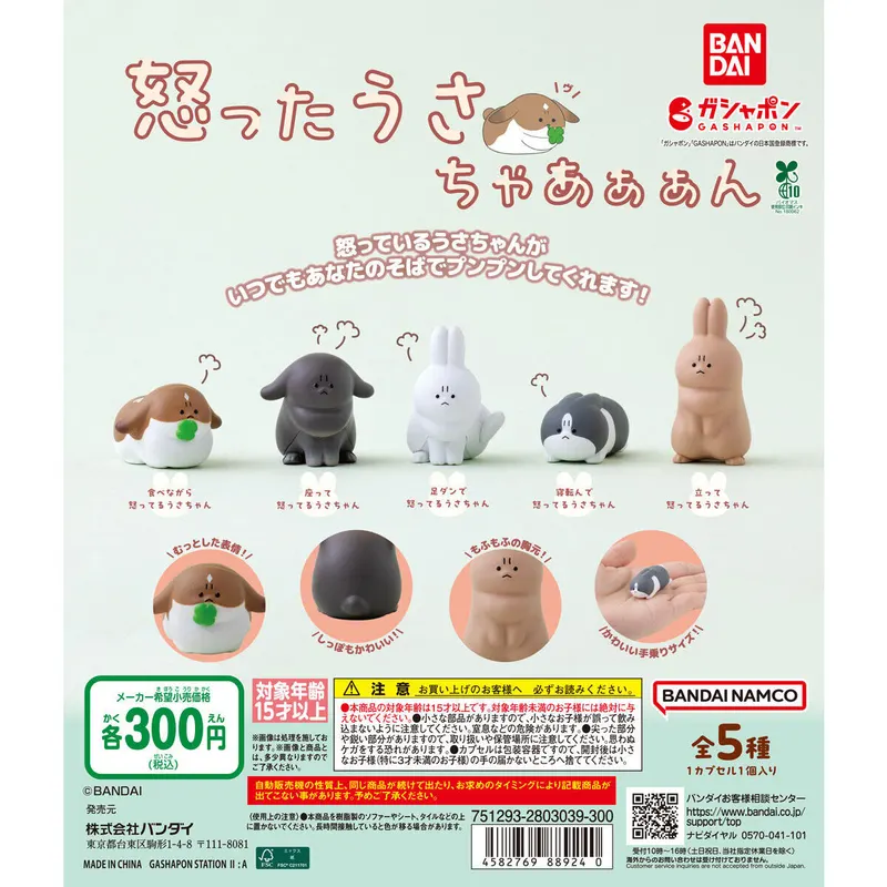 怒ったうさちゃあぁぁんの台紙