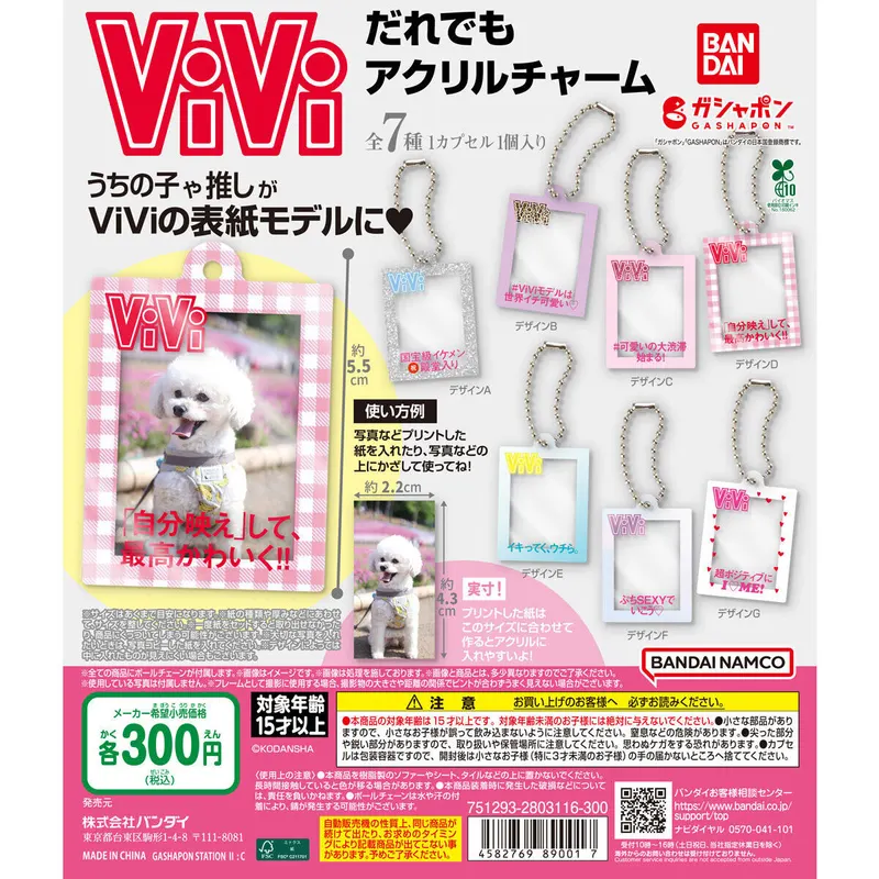 ViVi だれでもアクリルチャームの台紙