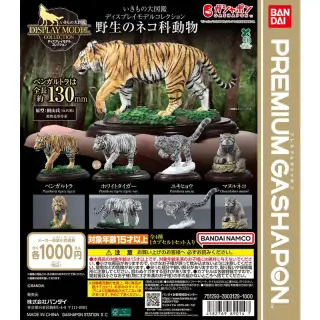 いきもの大図鑑ディスプレイモデルコレクション 野生のネコ科動物の画像