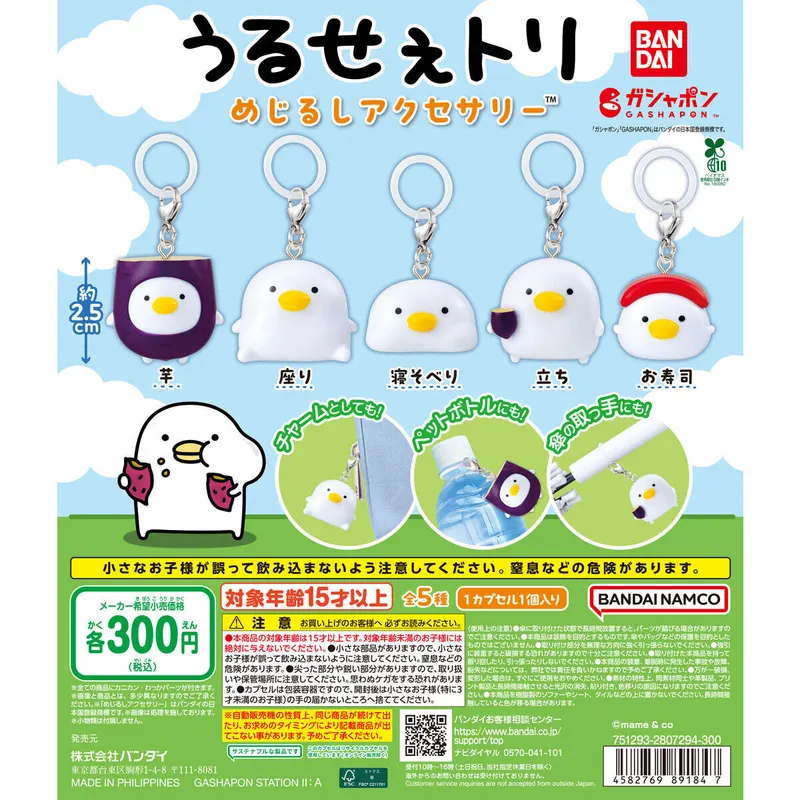 うるせぇトリ めじるしアクセサリーの台紙