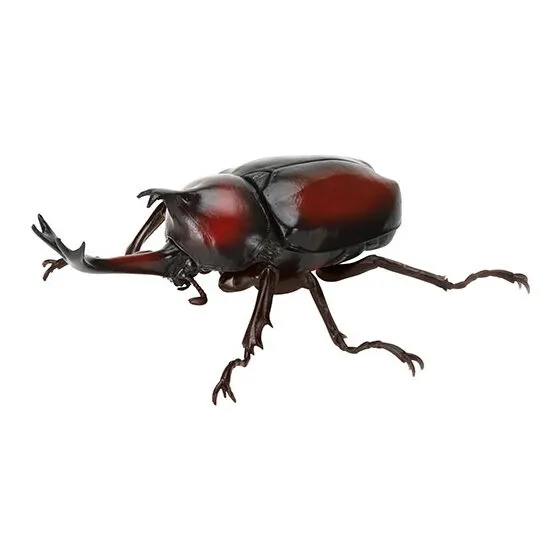 いきもの大図鑑 かぶとむし09 ヤマトカブトムシ(赤褐色・新色)