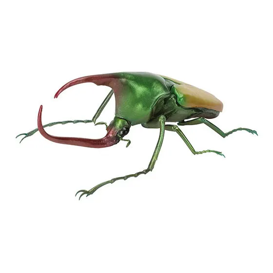 いきもの大図鑑 かぶとむし09 カブトハナムグリ