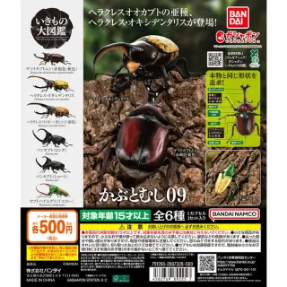いきもの大図鑑 かぶとむし09の画像