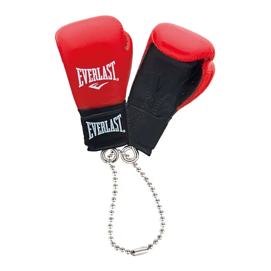 EVERLAST ボクシンググローブコレクション レッド
