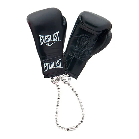 EVERLAST ボクシンググローブコレクション ブラック
