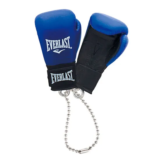 EVERLAST ボクシンググローブコレクション ブルー