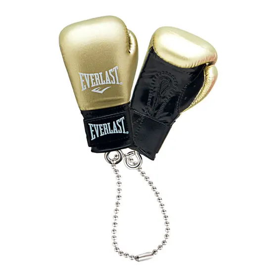 EVERLAST ボクシンググローブコレクション ゴールド