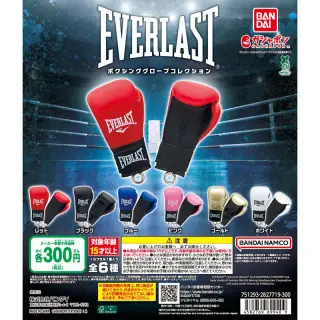 EVERLAST ボクシンググローブコレクションの画像