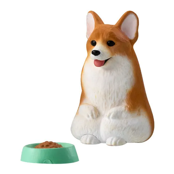 まてぼうけ 犬3 コーギー