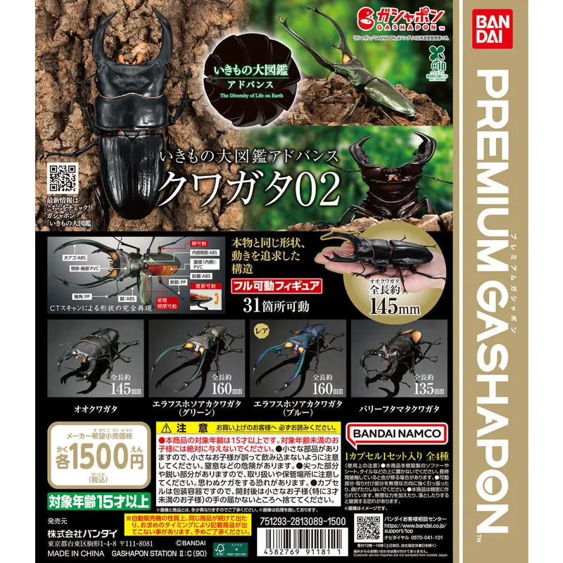 いきもの大図鑑アドバンス クワガタ02の台紙