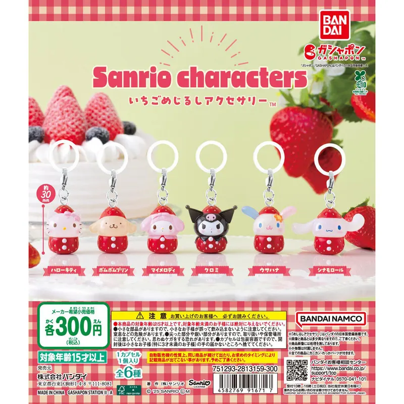 サンリオキャラクターズ いちごめじるしアクセサリーの台紙