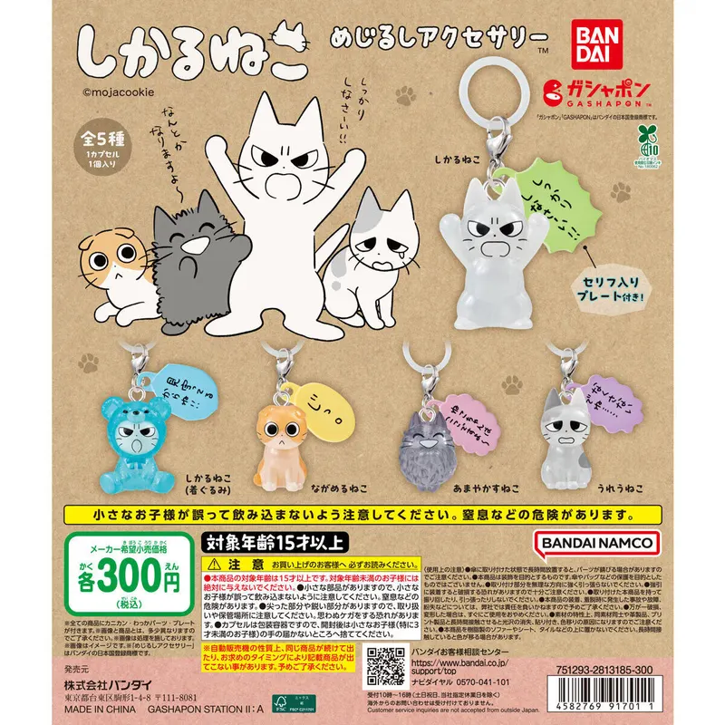 しかるねこ めじるしアクセサリーの台紙