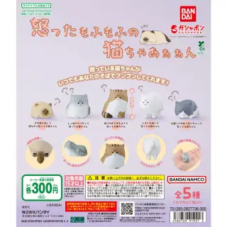 怒ったもふもふの猫ちゃあぁぁんの画像