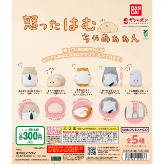 怒ったはむちゃあぁぁんの画像
