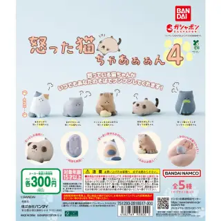 怒った猫ちゃあぁぁん 4の画像