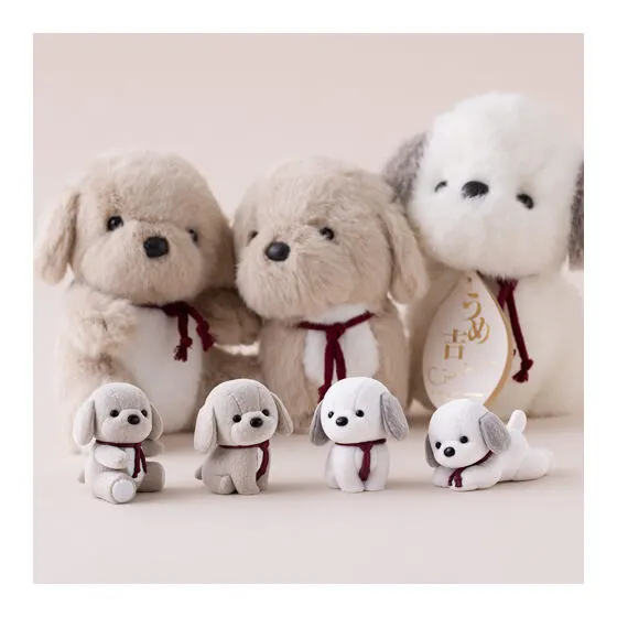 capsule flockies うめ吉 イメージカット