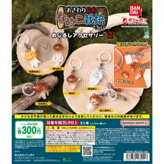 なめこ栽培キット めじるしアクセサリー2の画像