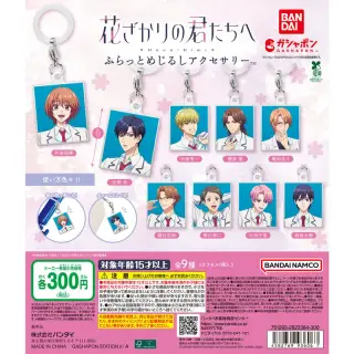 花ざかりの君たちへ ふらっとめじるしアクセサリーの画像